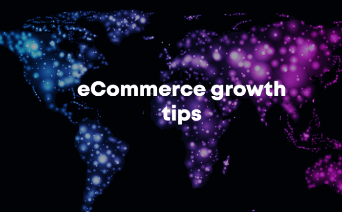 E-commerce Growth Tips