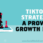 Building a Strategy for TikTok