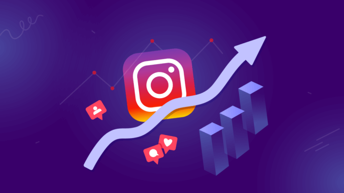 Increasing Instagram Followers