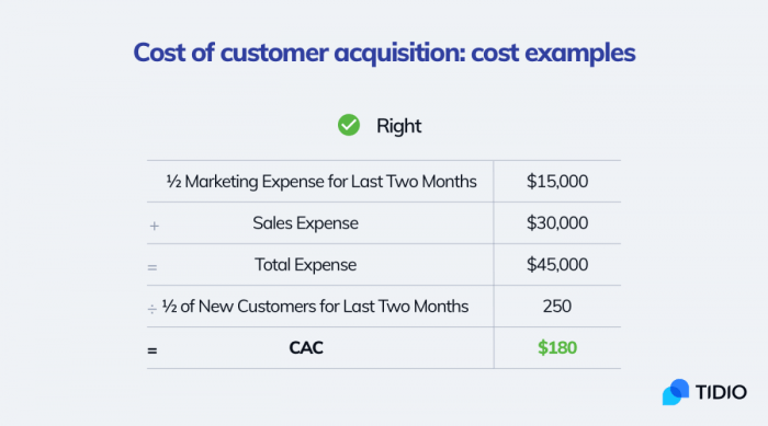 Customer Acquisition Cost